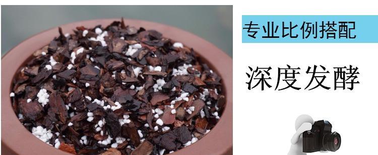 兰草土怎么配？适合兰花生长的土壤配方是什么？