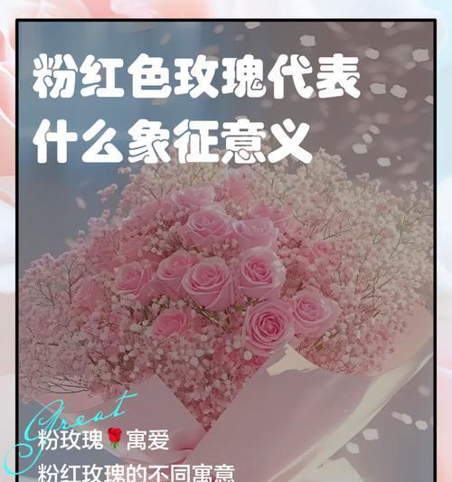 假粉色玫瑰的花语和寓意是什么？它传递了什么信息？