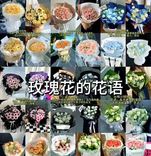 约会时送几朵玫瑰花有何含义？花语代表了什么？
