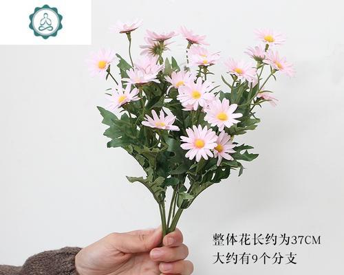 插花用的菊花是什么品种？适合插花的菊花品种有哪些？