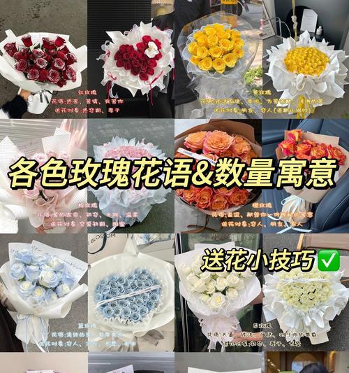 送花给女朋友应该选择哪种花？花语代表了什么？