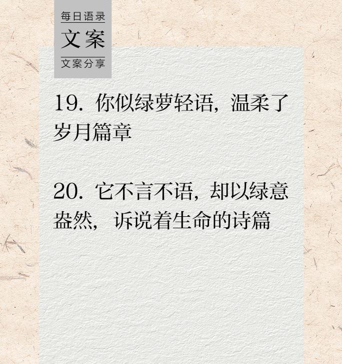 绿萝的花语及其净化空气的特效是什么？