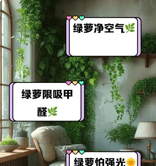 绿萝的花语及其净化空气的特效是什么？