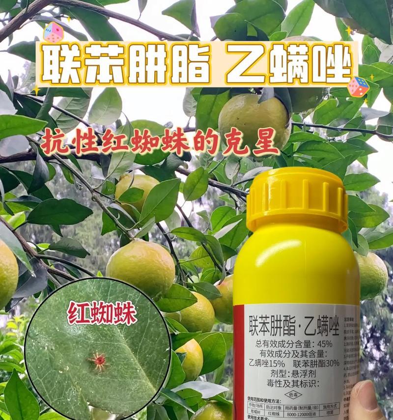 花卉红蜘蛛的防治药物有哪些？如何有效使用这些药物？