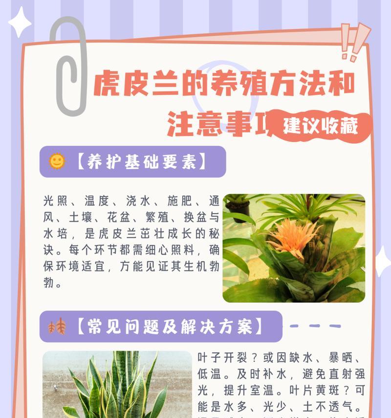 施肥的正确方法和注意事项是什么？