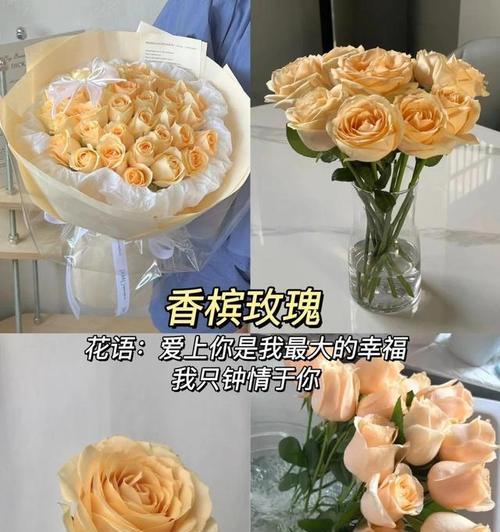 送给男友的花语应该表达什么？