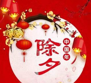 鞭炮玫瑰传递了怎样的情感信息？