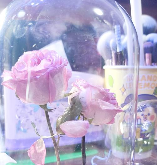 如何制作干花花束？干花花束的制作步骤有哪些？