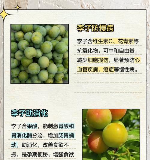 空心李子的花语有何含义？
