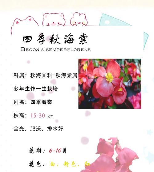 四季玻璃海棠花的养护要点是什么？如何应对季节变化？