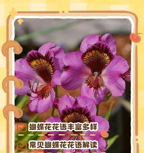 道具骄傲的花语有何深意？它代表了哪种情感？
