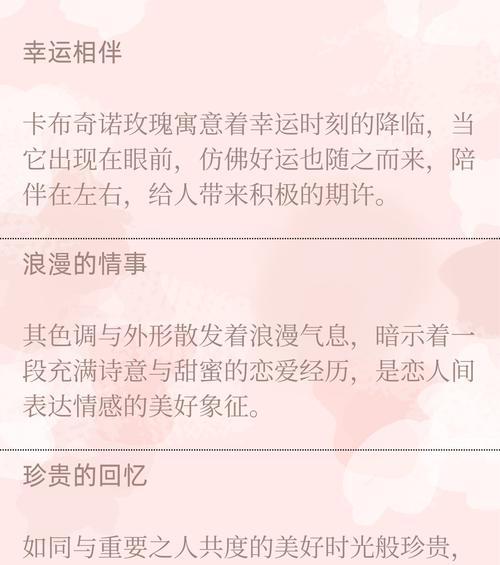 送女友小惊喜玫瑰花有何含义？它的花语是什么？