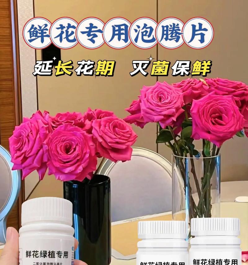向日葵的日常护理需要注意什么？如何延长花期？