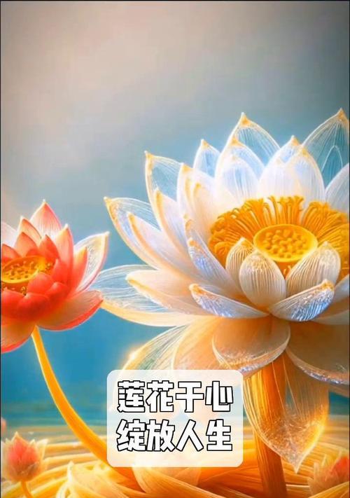 莲花束代表什么寓意？如何正确解读其花语？