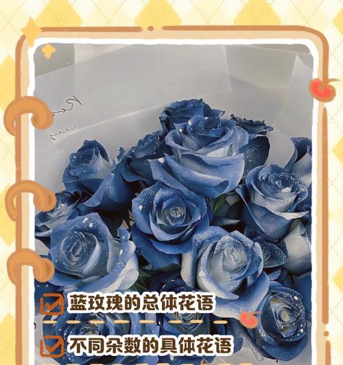 5朵白蓝玫瑰代表什么情感？