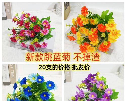 跳蓝菊象征着什么？