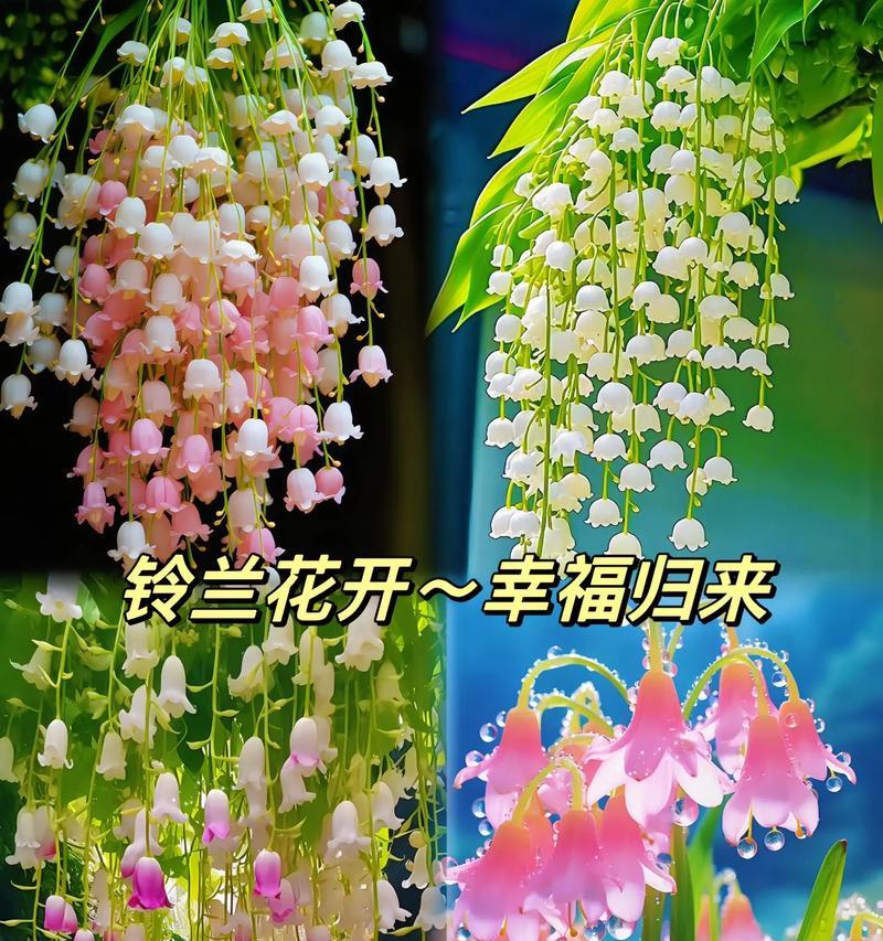 哪种花的花语表达了等待？