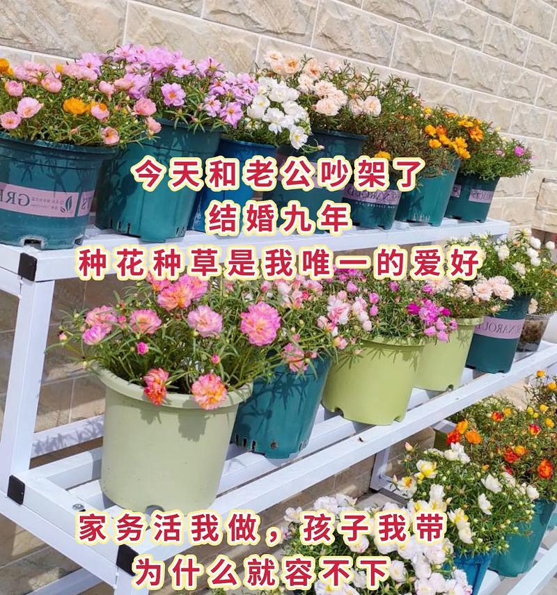 摘种满花的花语能表达哪些情感？