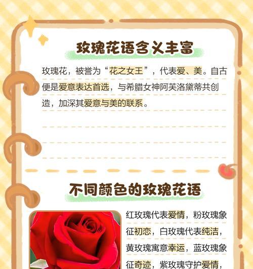破碎玫瑰花语有何特别含义？