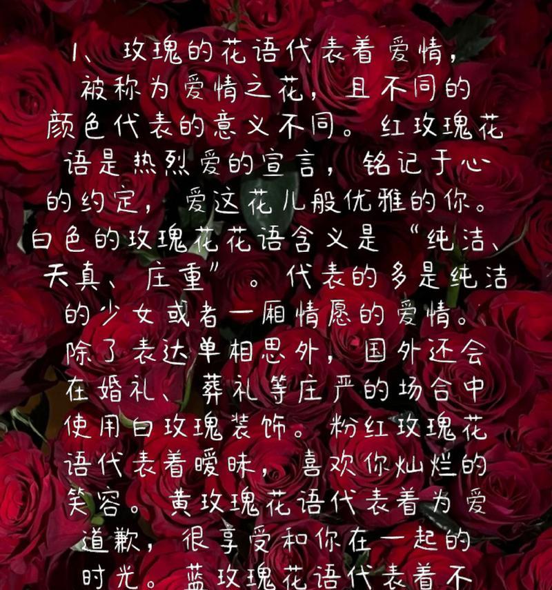 破碎玫瑰花语有何特别含义？