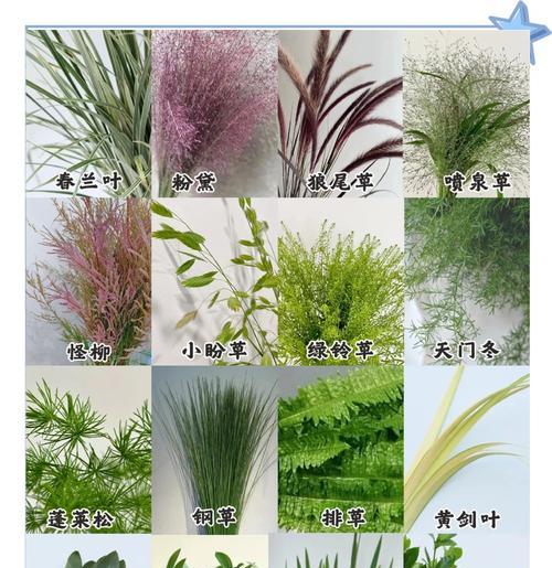 插花配草的作用是什么？它们如何提升花艺作品？