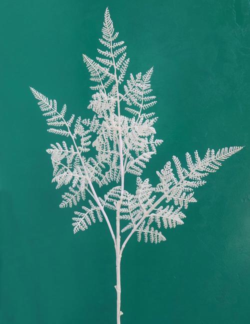 熊果树的花语和寓意有哪些？它在送礼时有何特别含义？