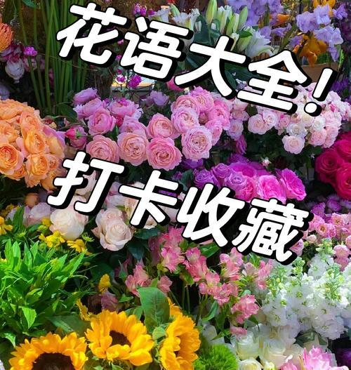 明日花的寓意和花语是什么？如何用花语表达希望？