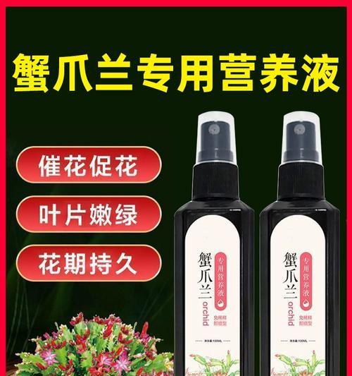 蟹爪兰施肥的正确方法是什么？应该使用什么肥料？