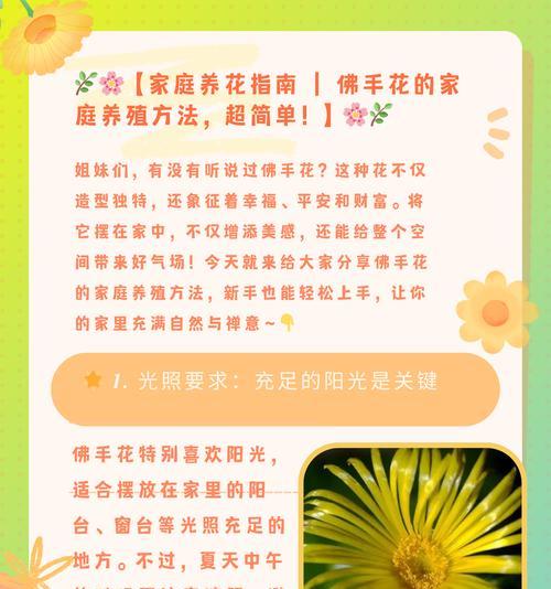 扶郎花代表了哪些意义？