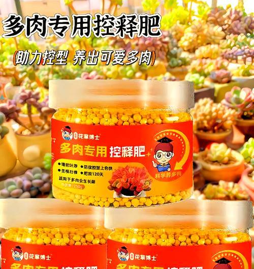 肉肉植物需要施什么肥？施肥的正确方法是什么？