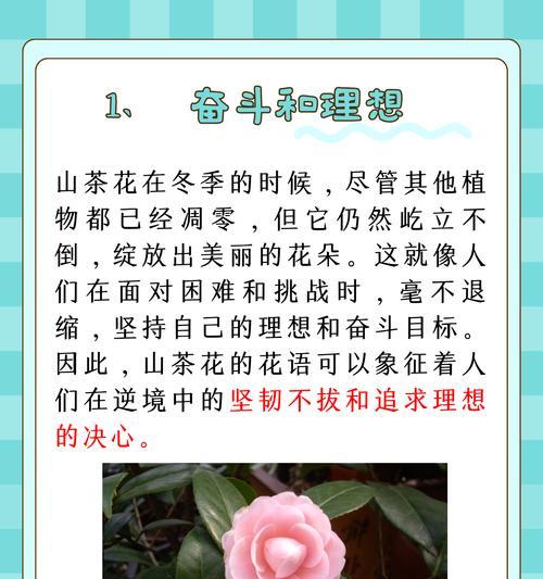 茶花的花语代表什么？它在文化中扮演什么角色？