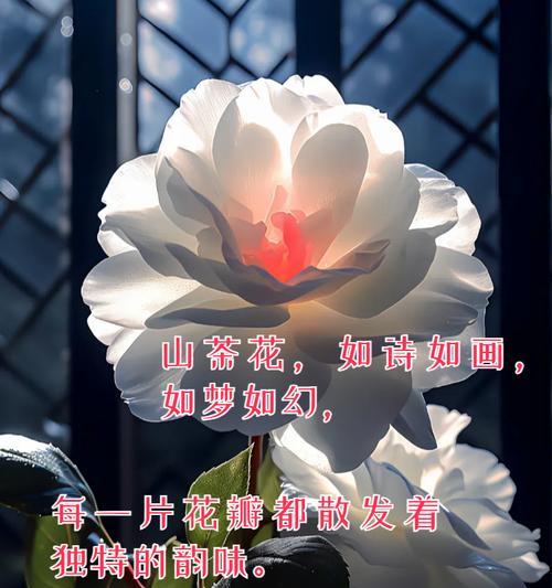 茶花的花语代表什么？它在文化中扮演什么角色？
