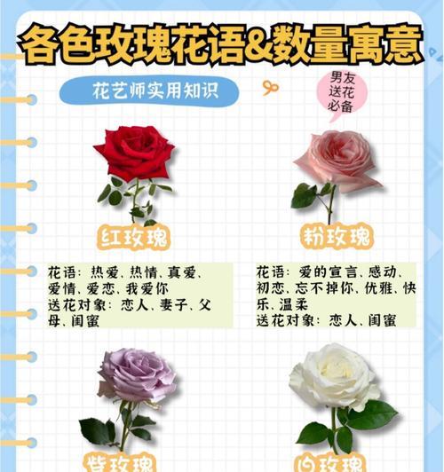 送给对象寓意好的花语有哪些？如何选择寓意好的花语？