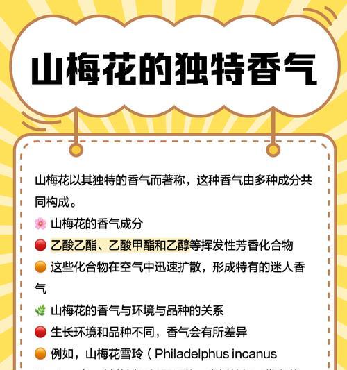 梅花怎么种植方法？有哪些步骤和技巧？