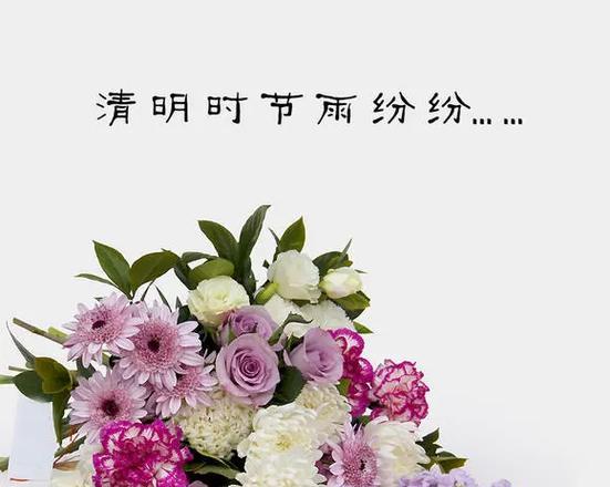 送给天堂亲人的花花语是什么？如何表达对逝去亲人的思念？