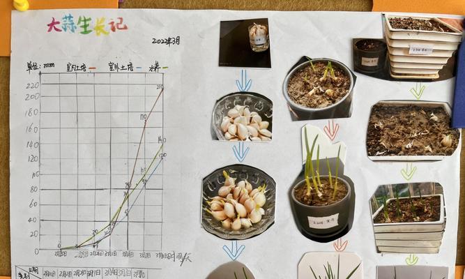 小蒜苗的花语是什么？小蒜苗的功效特点有哪些？