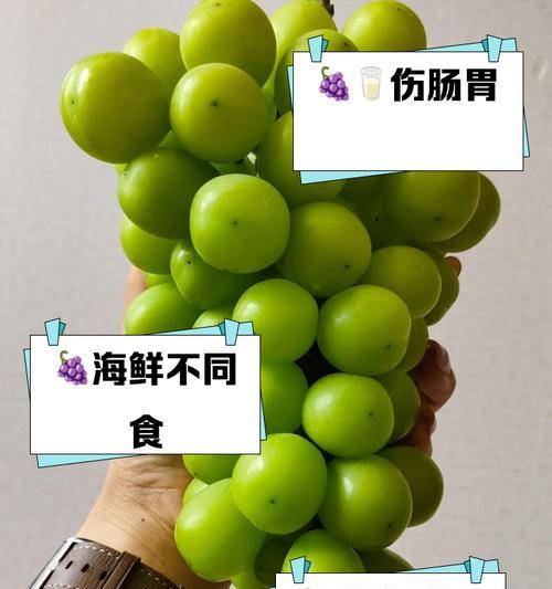 杏与哪些食物相克？一起食用会有什么后果？