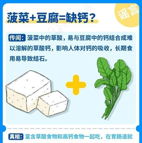 杏与哪些食物相克？一起食用会有什么后果？