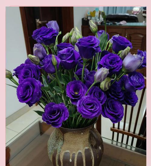 人尽皆知的爱花语是什么？这种花语代表了哪种情感？