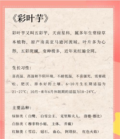 彩叶芋的浇水方法是什么？如何防止彩叶芋烂根？
