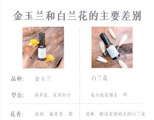 白兰花夏季养护需要注意什么？如何避免黄叶？