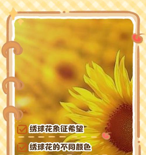 什么花语代表着给予爱情？这种花语有何深层含义？