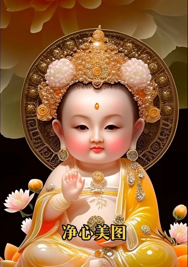 菩萨玫瑰传递了哪些祝福？
