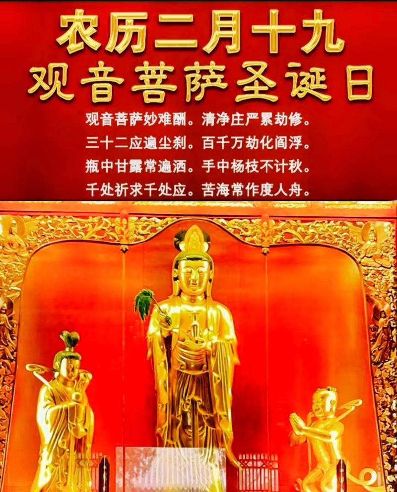 菩萨玫瑰传递了哪些祝福？