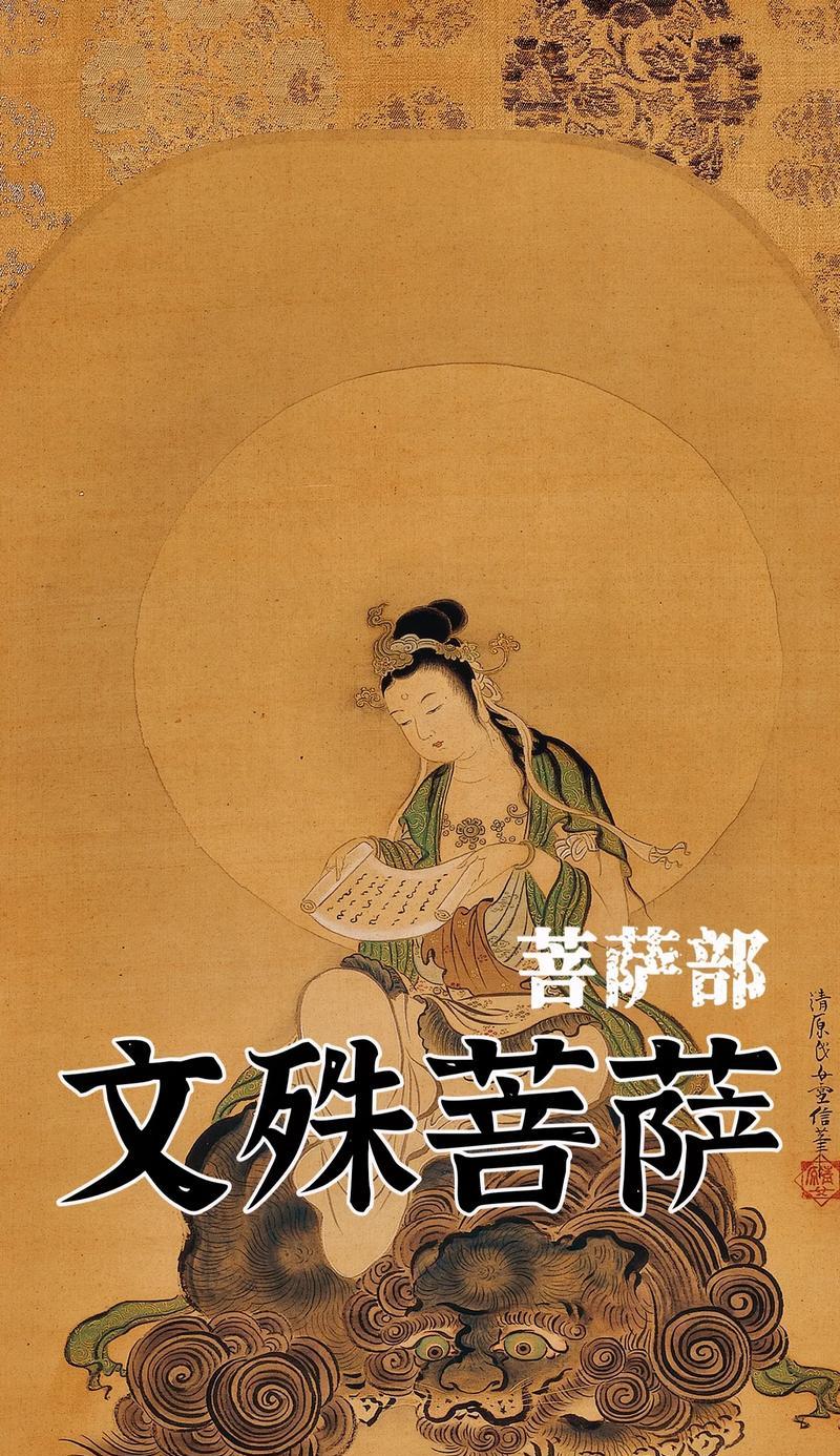 菩萨玫瑰传递了哪些祝福？