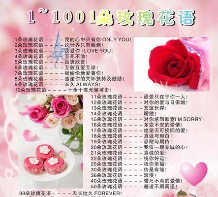 小玫瑰的花语有哪些含义？