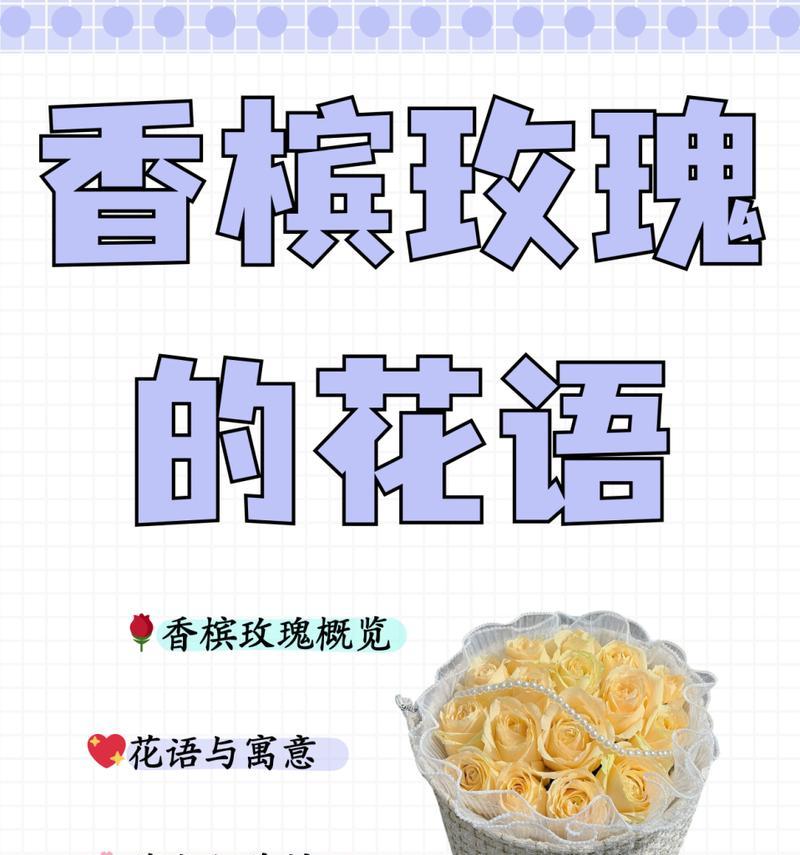 小玫瑰的花语有哪些含义？