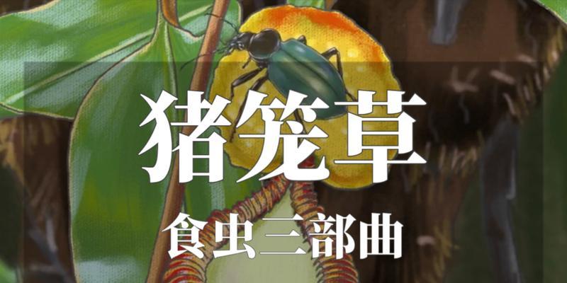 猪笼草的捕虫原理是什么？它在自然界中有哪些作用？