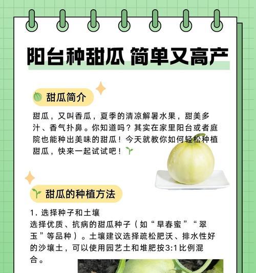 水果种子怎么种？有哪些步骤和注意事项？
