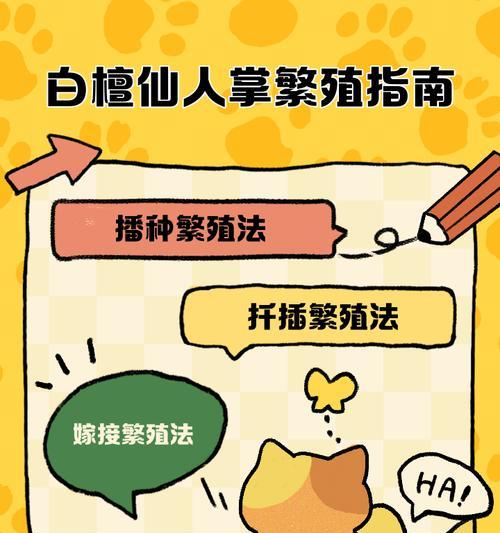 仙人棒的繁殖方法有哪些？繁殖后如何管理？